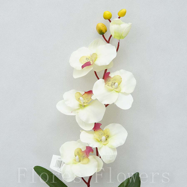 Orchidea 75cm