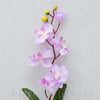 Orchidea 75cm