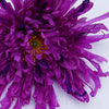 Chryzantéma hlava, fialová,  18cm