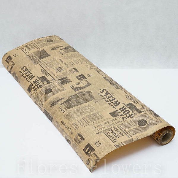 Papier Kraft 0,7x10m