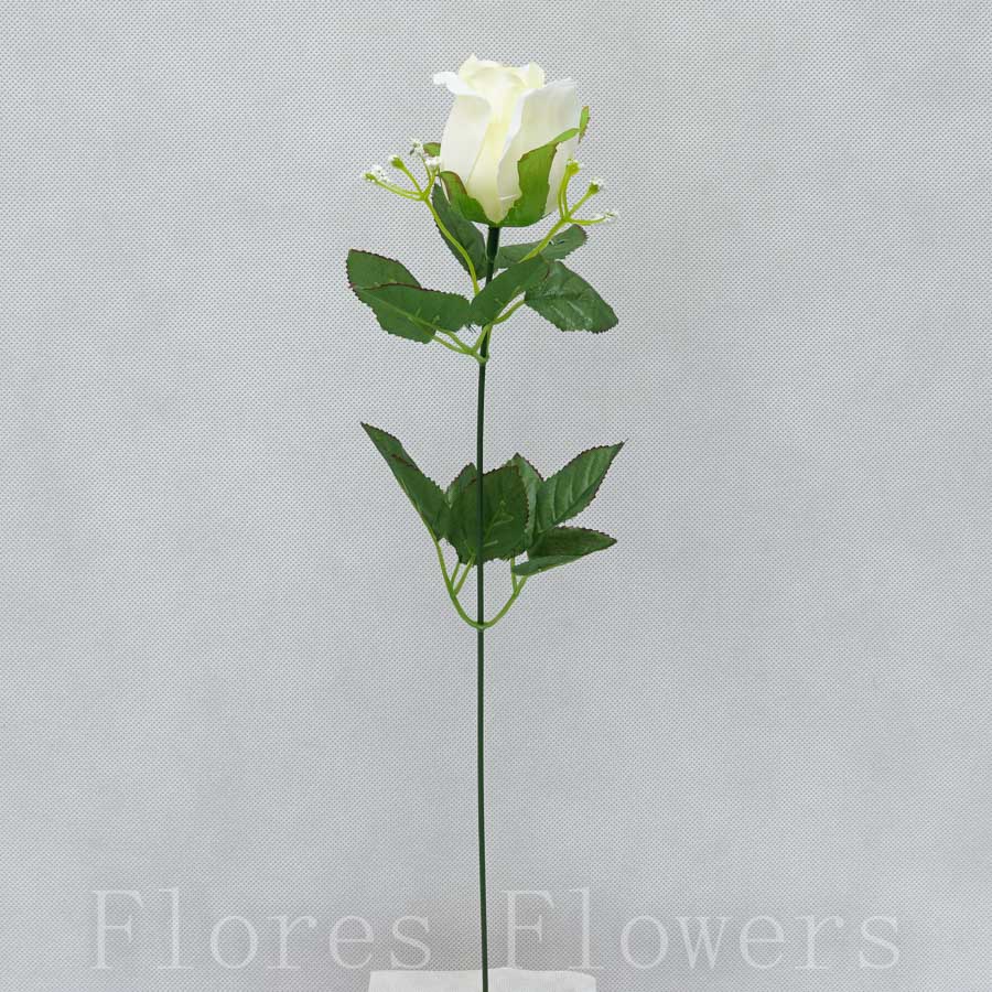 Ruža stopková, 45cm