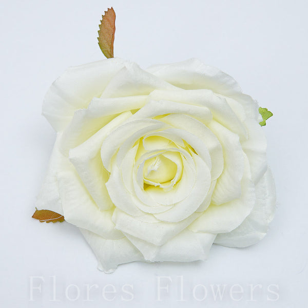 Ruža záhradná 9 cm, KREMOVA, cena za 12ks