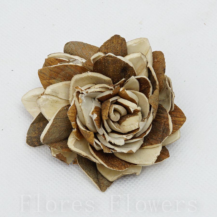 Sušina kvety 8cm, 6 kvetov, NATURAL