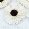 Sušina gerbera 8 cm