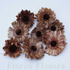 Sušina gerbera 8 cm