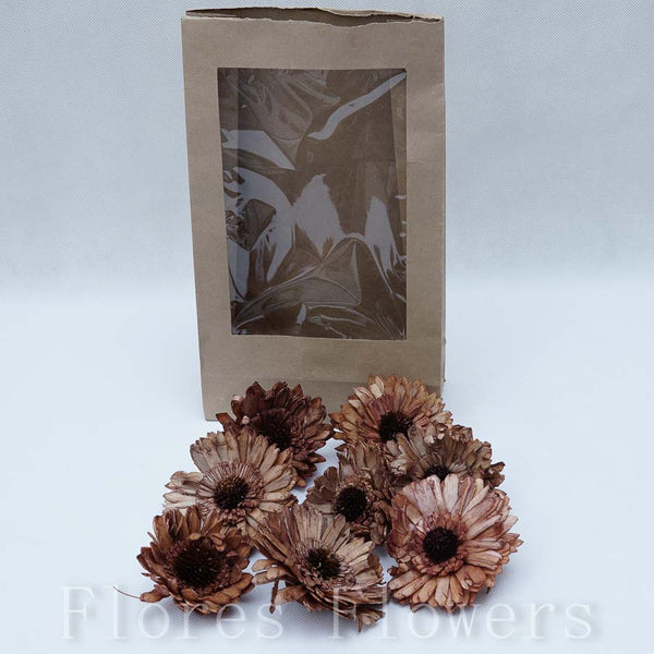 Sušina gerbera 8 cm