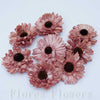 Sušina gerbera 8 cm