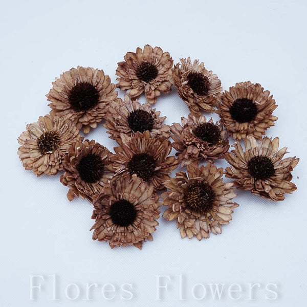 Sušina gerbera mini 6 cm