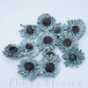 Sušina gerbera mini 6 cm