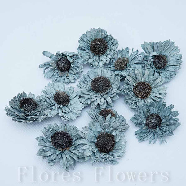 Sušina gerbera mini 6 cm