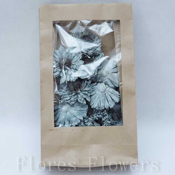 Sušina gerbera mini 6 cm
