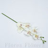 Orchidea 31 cm, krémová