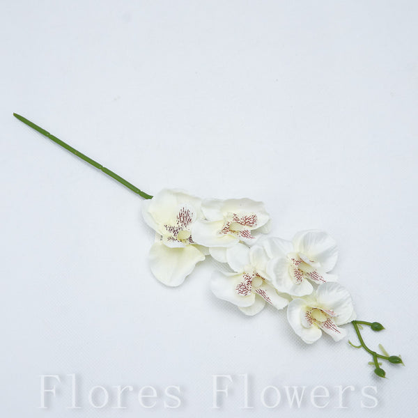 Orchidea 31 cm, krémová