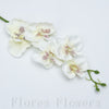 Orchidea 31 cm, krémová