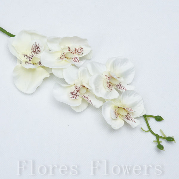 Orchidea 31 cm, krémová
