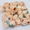 Ruža mini 4 cm, marhuľová, cena za 24ks