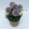 Ikebana zaťažená URNA, 20x13cm, fialová