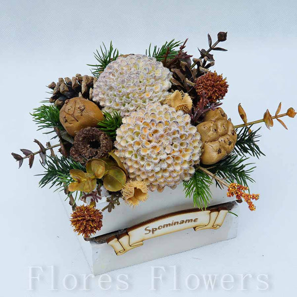 Dekorácia v drevenom obale, 12x12x12cm, krémovo-hnedá