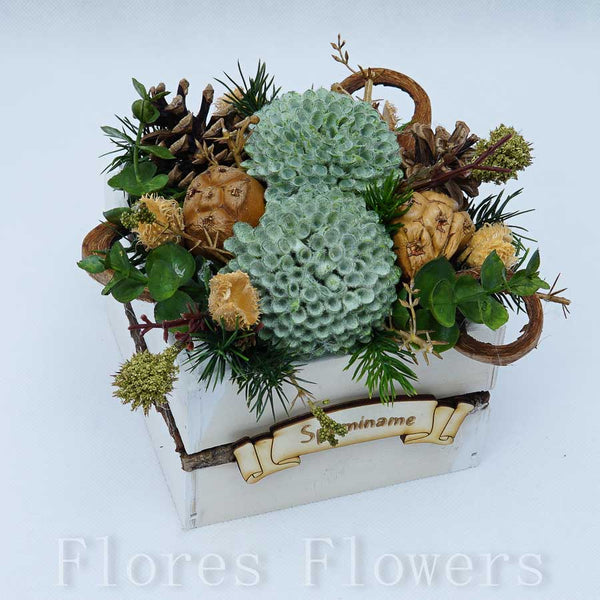 Dekorácia v drevenom obale, 12x12x12cm, zeleno-hnedá