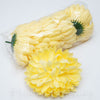 Chryzantéma 10 cm, SVETLO ŽLTÁ, cena za 6ks