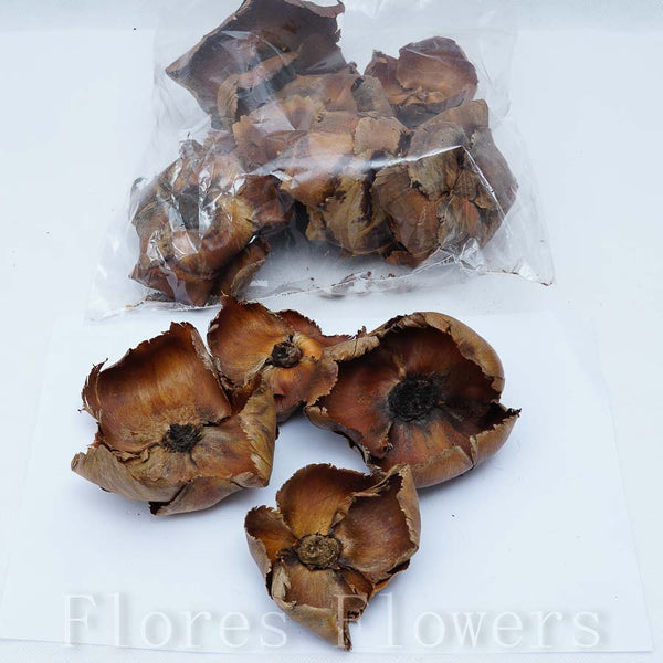 Sušina kvet, hnedá, 180g