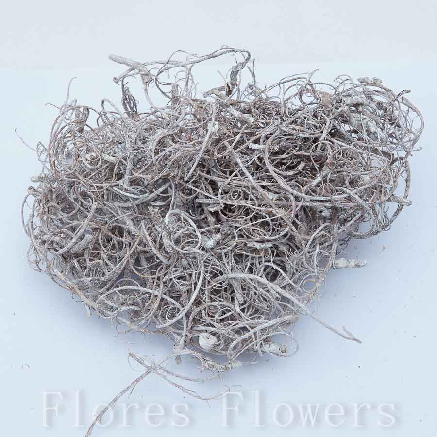 Sušina curli moss bielená, 120g