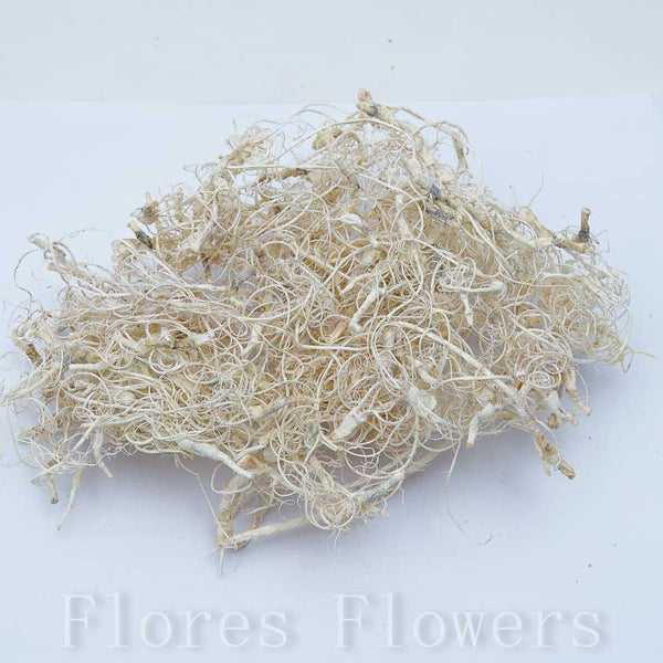 Sušina curli moss bielená, 120g