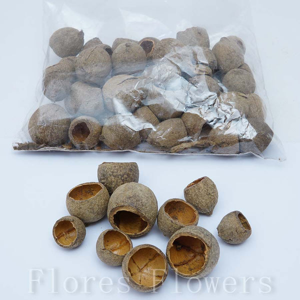 Sušina ulitka mini, 200g