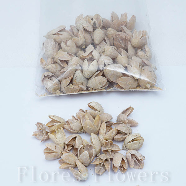 Sušina chiruni mini, krémová, 130g