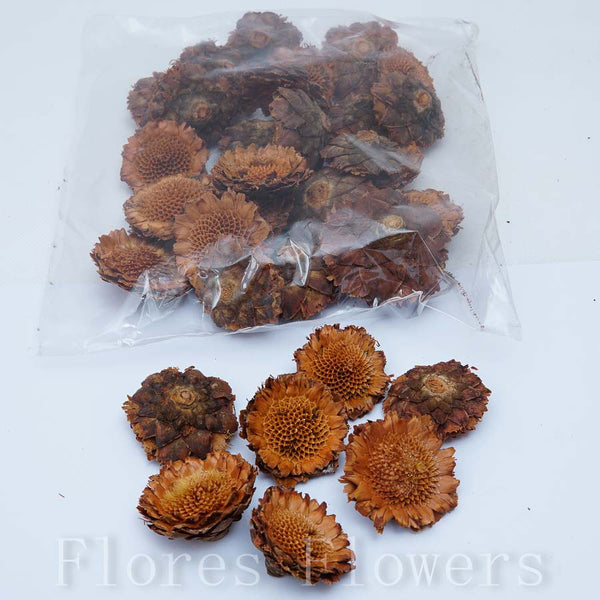 Sušina drevený kvet, 3-5cm