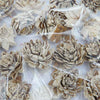 Sušina kvety, hnedá, 3cm, cca 20ks