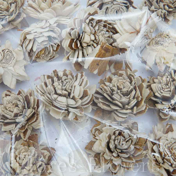 Sušina kvety, hnedá, 3cm, cca 20ks
