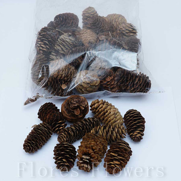 Sušina šiška predĺžená, 250g