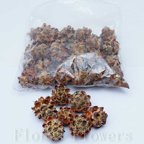 Sušina plod, 250g