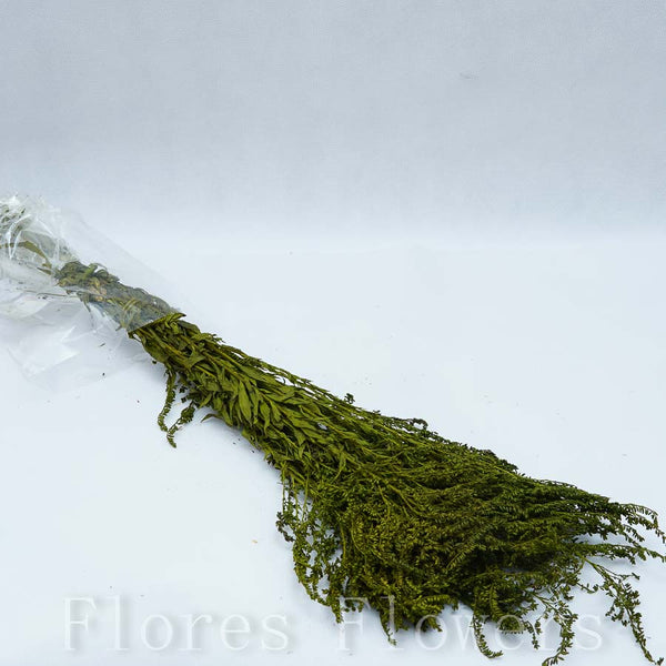 Sušina tráva, 50cm, zelená