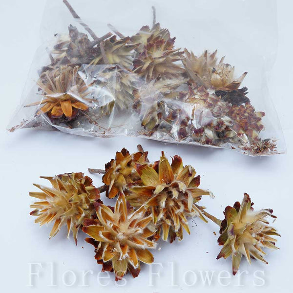 Sušina plod,  150g