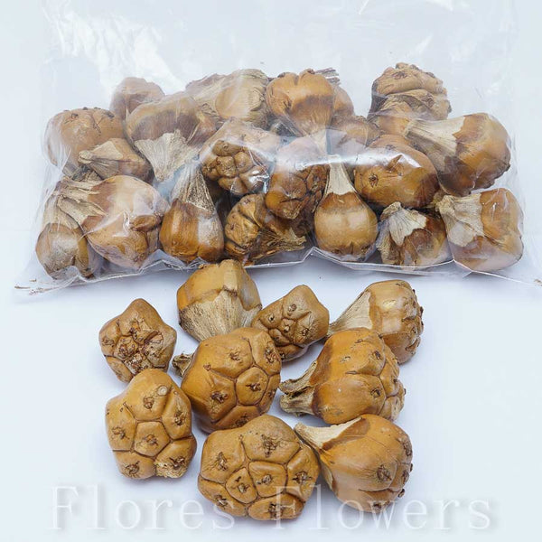 Sušina plod, 350g