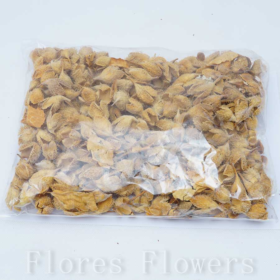 Sušina plod mini, svetlohnedá, 250g