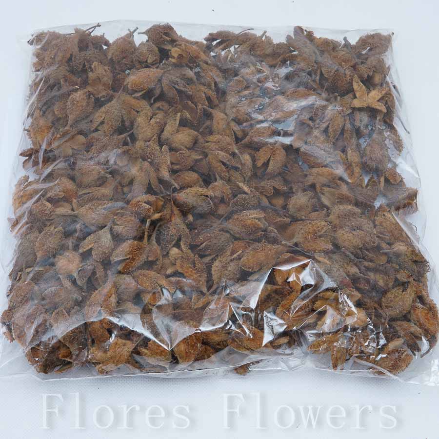 Sušina plod mini, hnedá, 300g