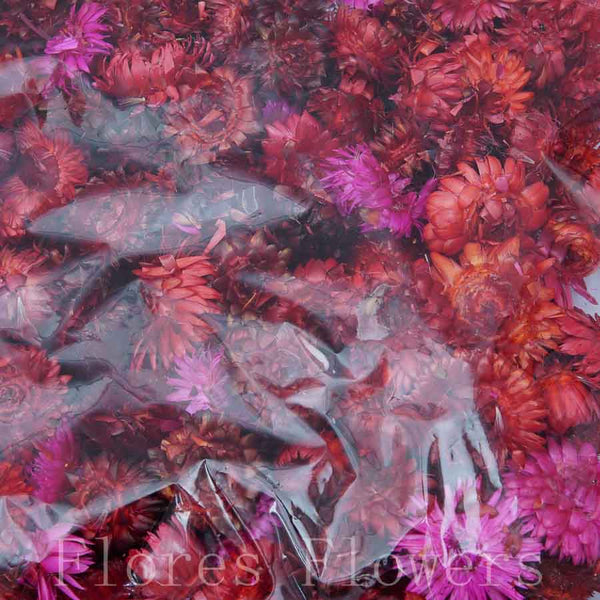 Sušina slamienky mix , bordo, 100g