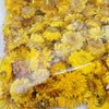 Sušina slamienky mix , žlté, 100g