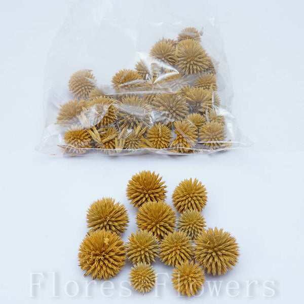 Sušina plod, oranžová, 100g