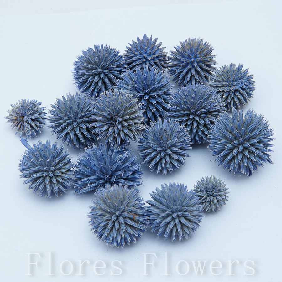 Sušina plod, modrá, 100g