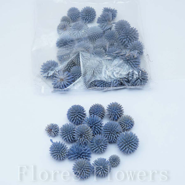 Sušina plod, modrá, 100g
