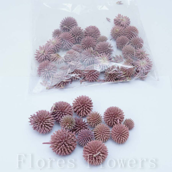 Sušina plod, ružová, 100g