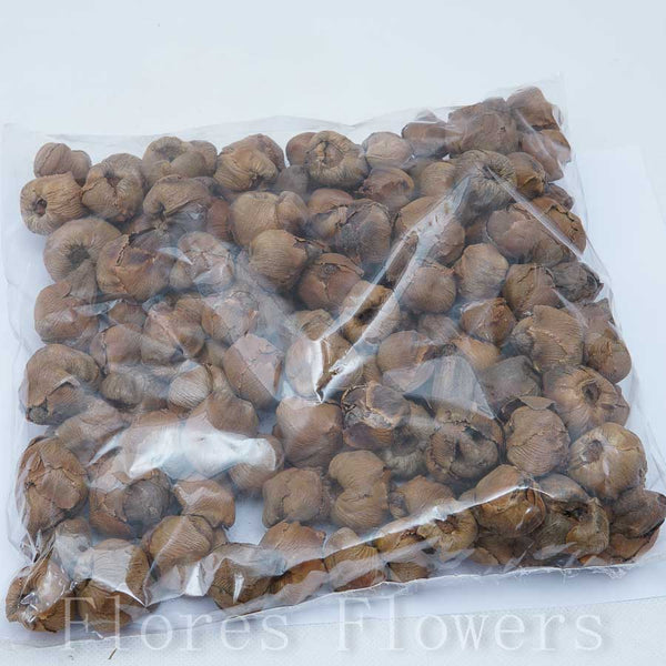 Sušina orech b. 400g.
