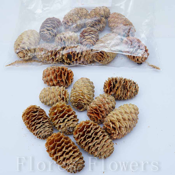 Sušina plod, 150g