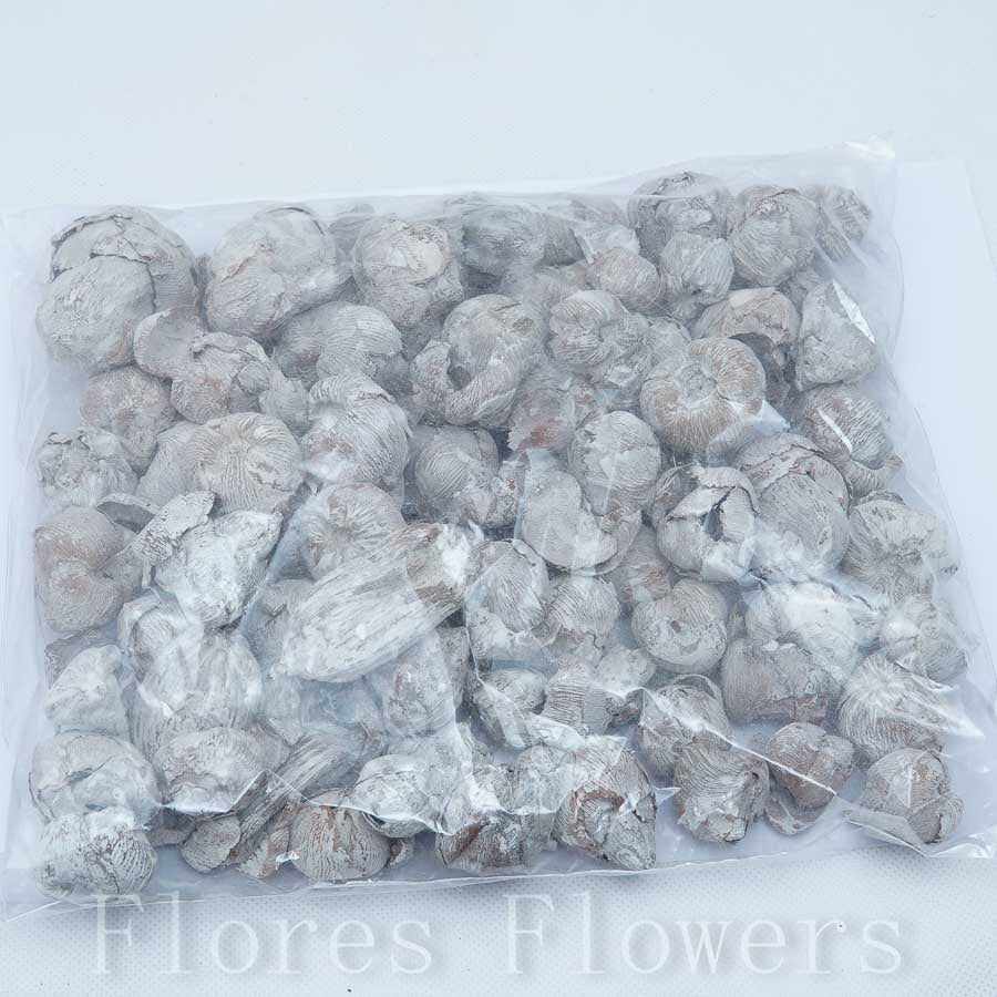 Sušina orech bielený, 300g.