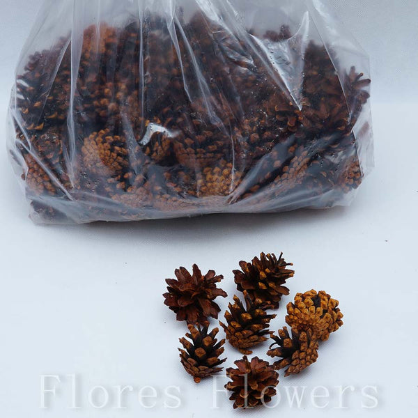 Šišky hnedé, 1kg