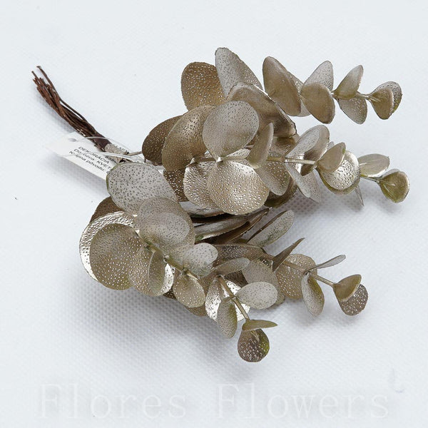 Zväzok eukalyptus 15 cm, MIX FARIEB